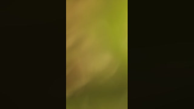 scorpion_queen1  14-10-2022